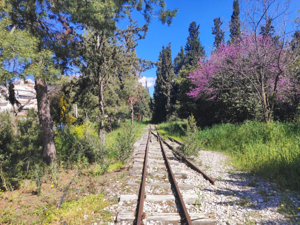 El latido secreto del ferrocarril de la Costa Brava: ingeniería férrea y el pulso mediterráneo entre acantilados