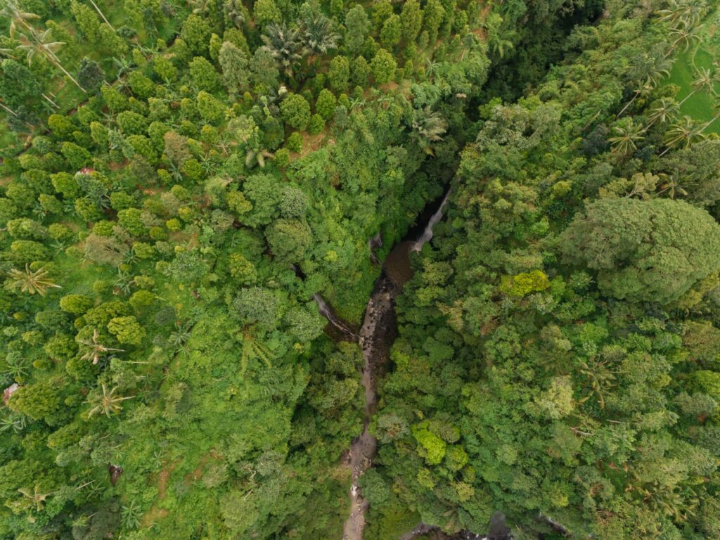 La Travesía del Río Pacuare en Rafting: Guía de Expedición y Navegación Fluvial por las Gargantas Prístinas de Costa Rica