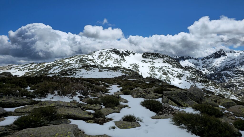 El Refugio de la Cabra Montés en Gredos: Biología, Corredores Rupícolas y Conservación en el Macizo Central