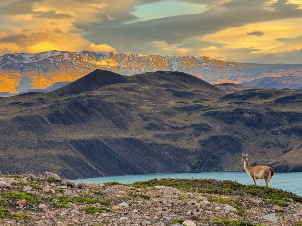 El laberinto de las lagunas glaciales: cómo la navegación solar y las pasarelas flotantes transforman el transporte en el Parque Nacional Torres del Paine