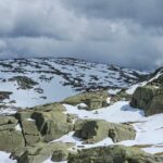 El refugio de la liebre de matorral en los páramos de Gredos: ecología rupícola y conservación en el macizo abulense