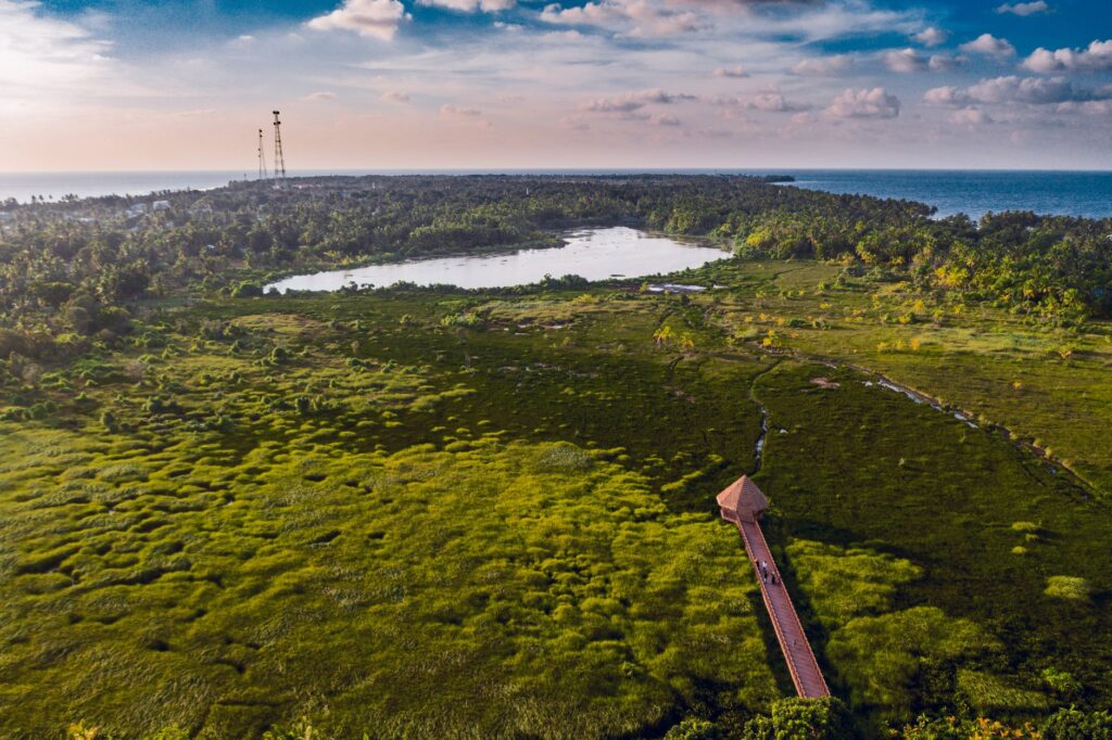 El aula viva del río Niágara: la transformación ecológica de Eco Island en Grand Island