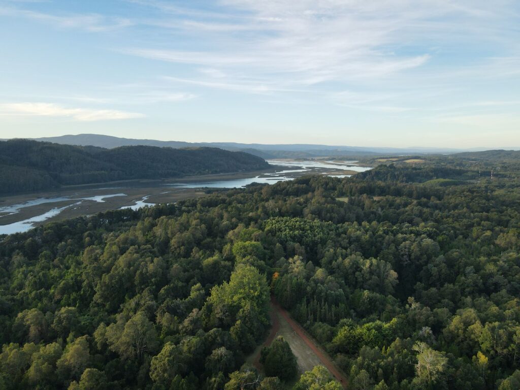 El Mapa de lo Imposible: Ingeniería de Fiordos y la Logística del Aislamiento en la Carretera Austral