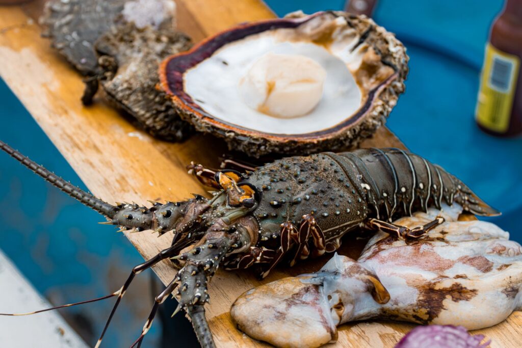 Tras la pista del mejor lobster roll de Boston: del clásico marinero al secreto fuera de carta