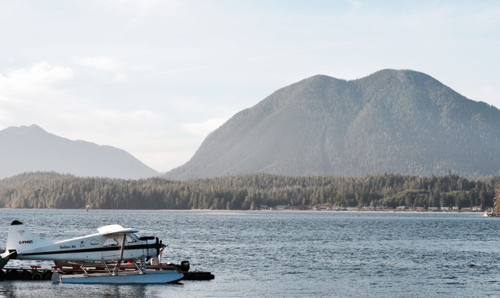 El refugio del oso kodiak en el archipiélago de las Kodiak: ecología insular y conservación en los bosques boreales de Alaska