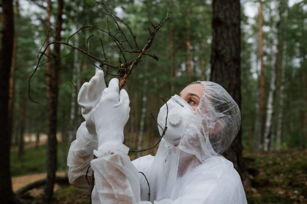El laberinto de las turberas boreales: cómo la restauración hidrológica y los senderos de madera transforman la conservación en el Parque Nacional Oulanka