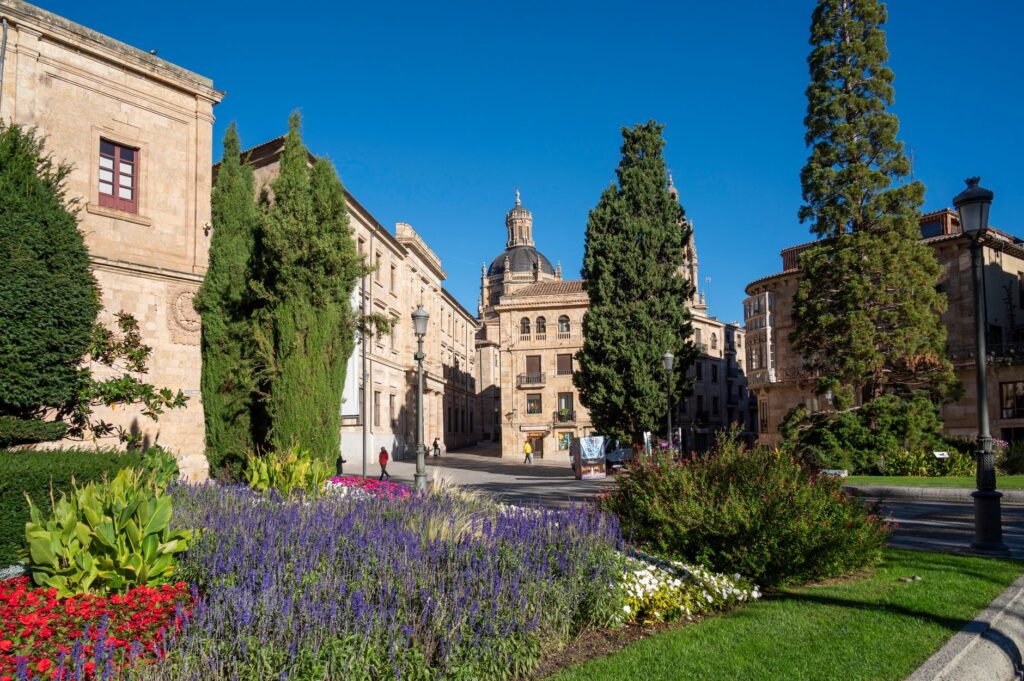 El Renacimiento de la Encuadernación en Piel: Nervio, Hilo y Memoria en los Obradores de Salamanca