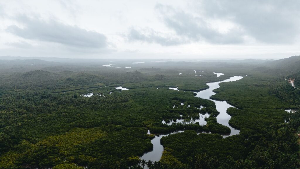 El latido meridional del archipiélago de las Bisagos: Canales de bajamar, piraguas de tronco y la conectividad insular de Guinea-Bisáu