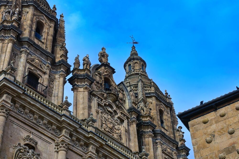 El secreto de la piedra y el estuario: la liturgia del Mercado Central de Santander y los tesoros de la Bahía