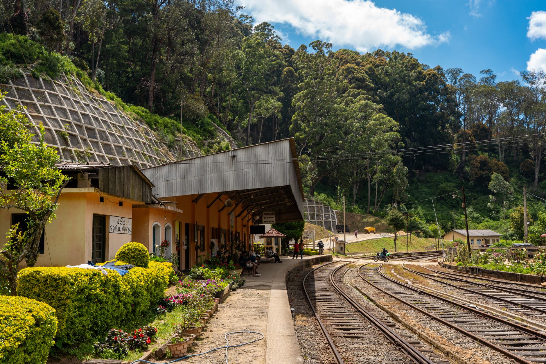 El latido mineral del tren de las tierras altas de Sri Lanka: ingeniería británica y niebla en el techo de Ceilán