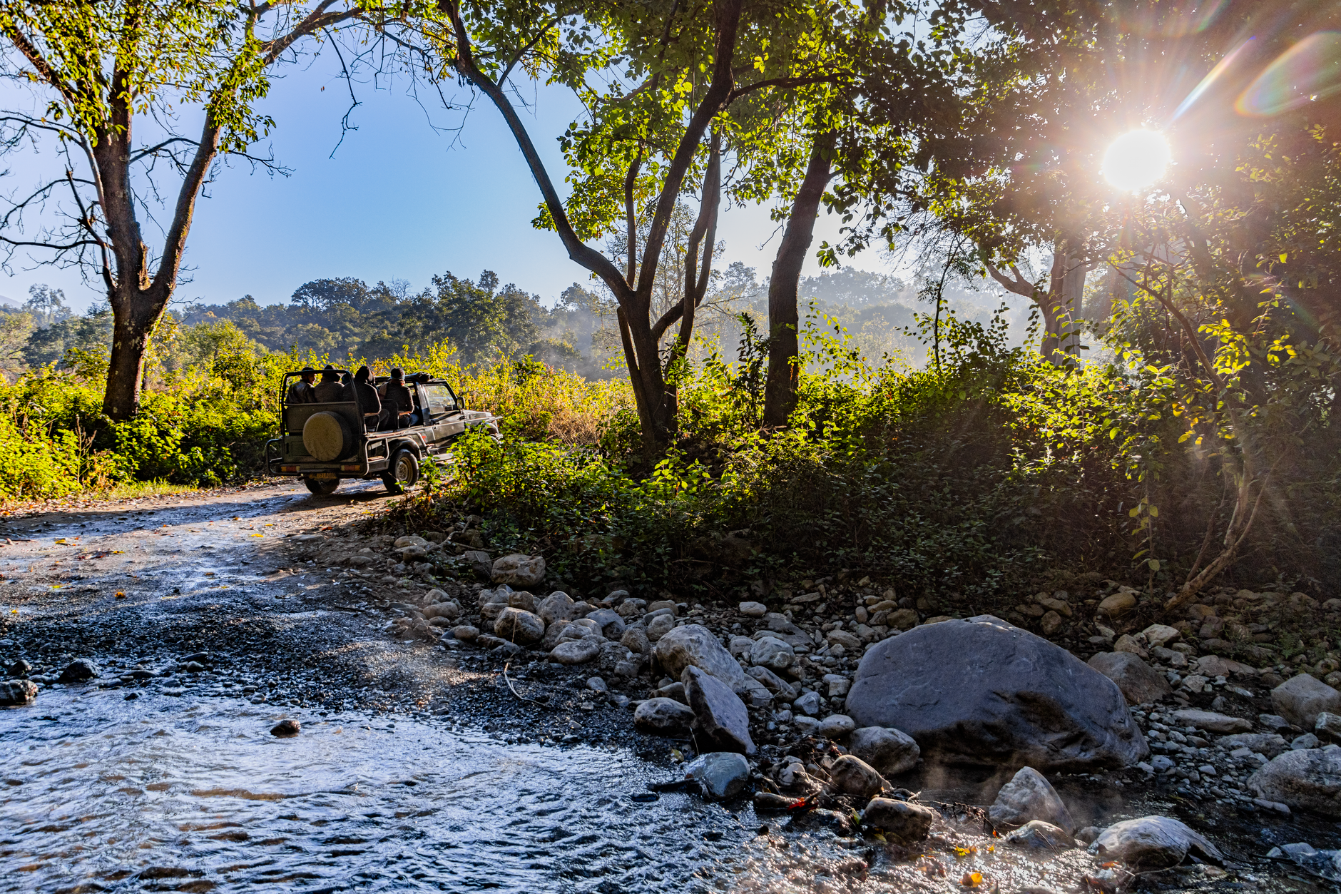 El latido verde de Kumaon: sostenibilidad y alta gama en los confines del Corbett