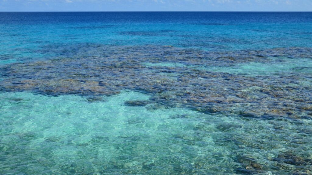 Expedición al Archipiélago de Fernando de Noronha: Guía de Navegación Oceánica y Conservación Marina en el Atlántico Tropical