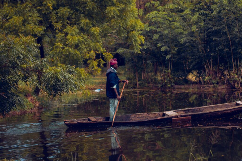 El latido de los manglares de Casamance: cómo la navegación fluvial sostenible redefine el ecoturismo en Senegal