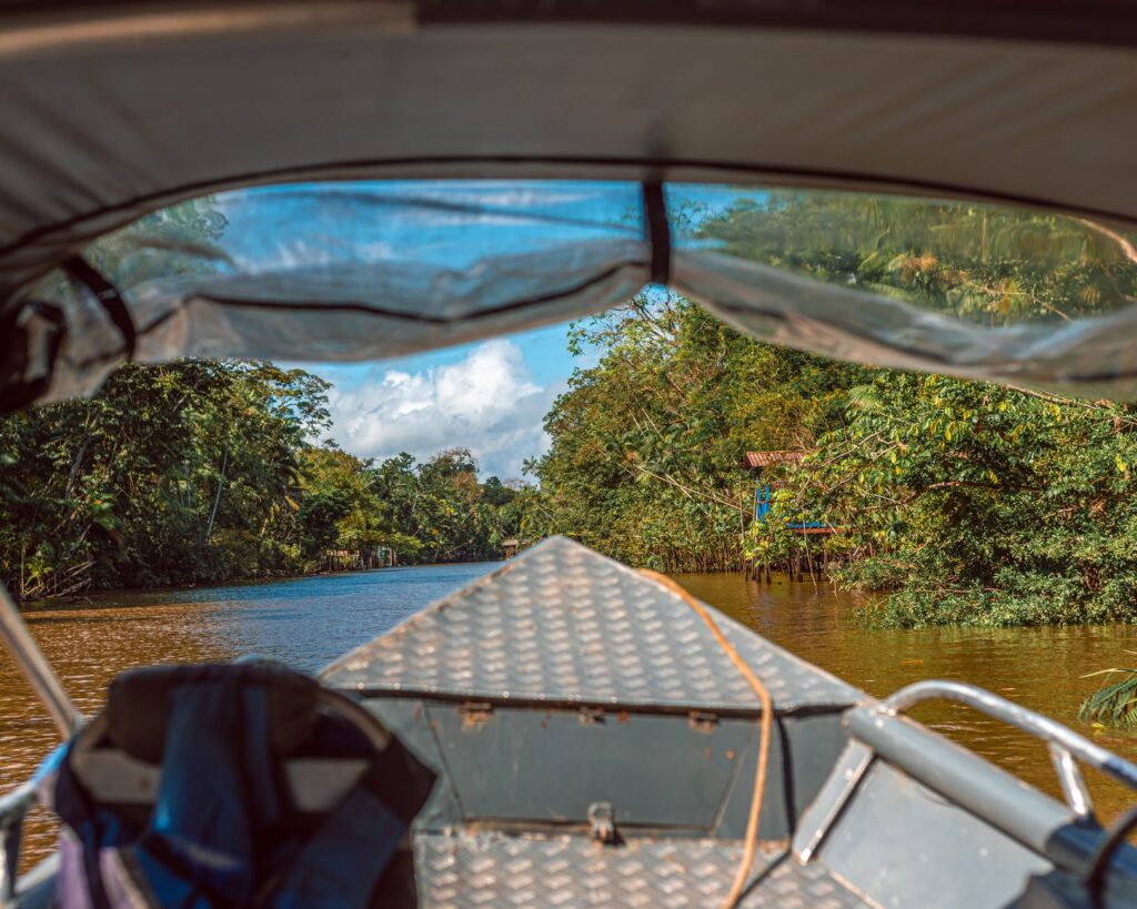 El refugio del delfín rosado en la Reserva Nacional Pacaya Samiria: ecología fluvial y conservación en la Amazonía peruana