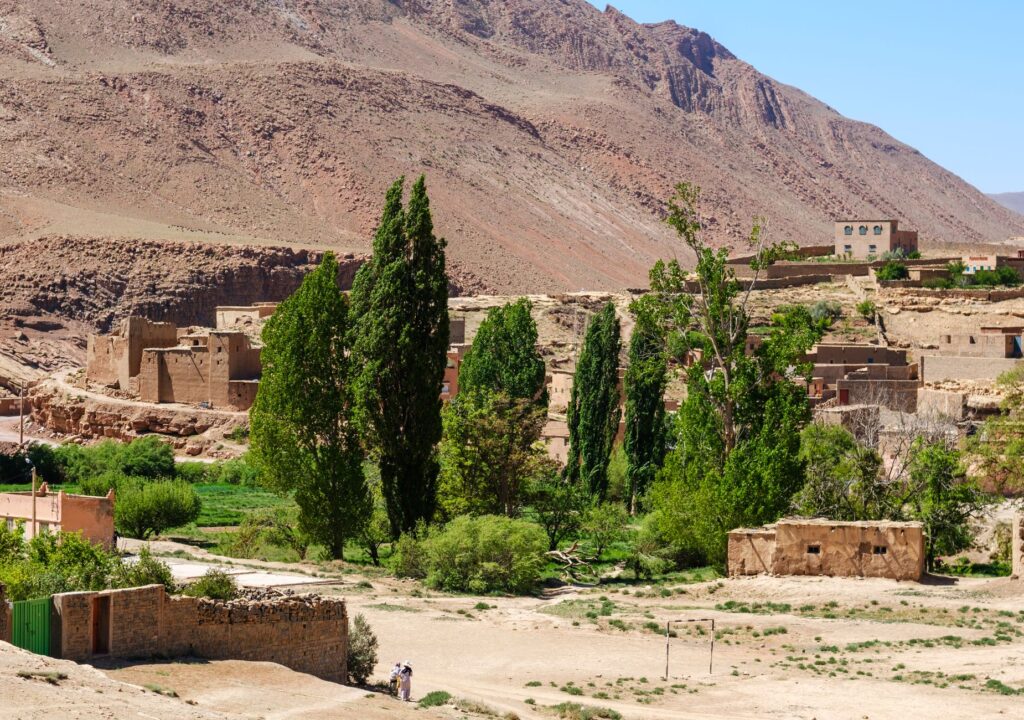 El latido mineral del Atlas de Marrakech: Logística de mulas, pistas de altura y la conectividad bereber en el Toubkal