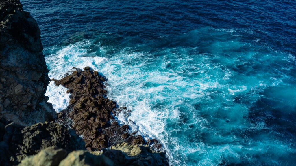 El Refugio del Tiburón Martillo en las Islas Galápagos: Oceanografía, Corrientes de Afloramiento y Conservación en el Pacífico Ecuatoriano