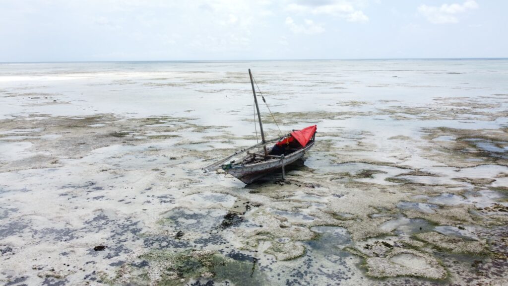 El latido de los canales de Zanzíbar: la logística dhow, los puertos de marea y la conectividad anfibia del archipiélago