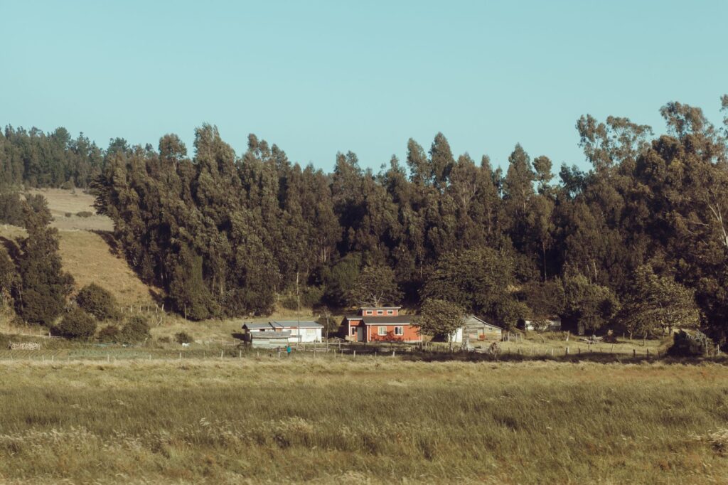 Expedition Chile: El puente digital que proyecta el turismo comunitario y de naturaleza hacia el escenario global