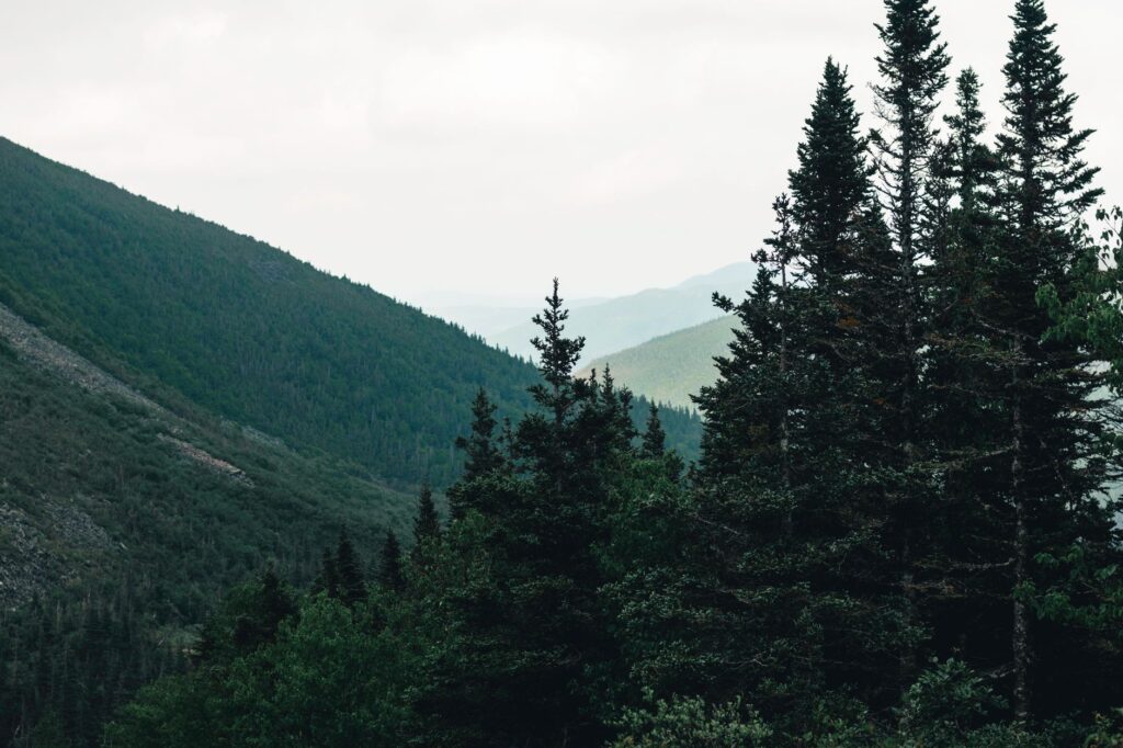 El valor de lo prístino: Por qué el viajero canadiense redefine el turismo de montaña y conservación