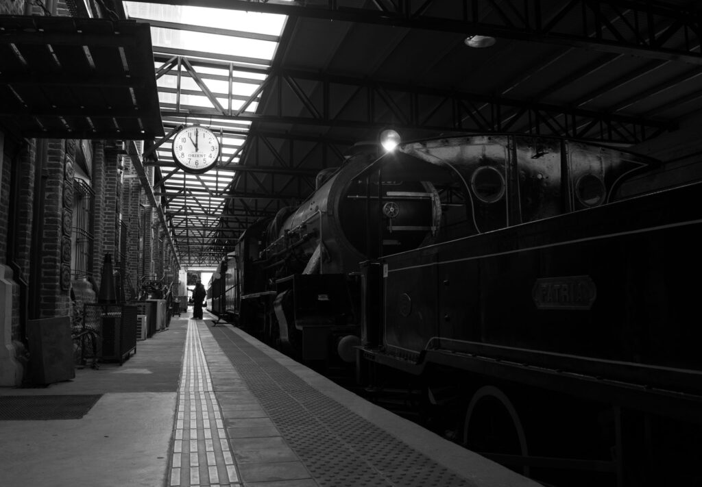 El Ferrocarril Transpirenaico Oriental: Ingeniería de cumbres, túneles internacionales y la conectividad ferroviaria entre Francia e Iberia