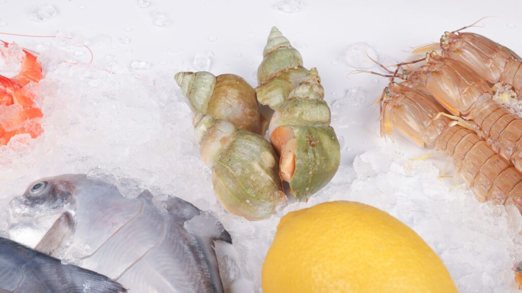 El secreto de la espuma y el Atlántico: la liturgia del percebe y la pesca extrema en las rompientes de la Costa da Morte