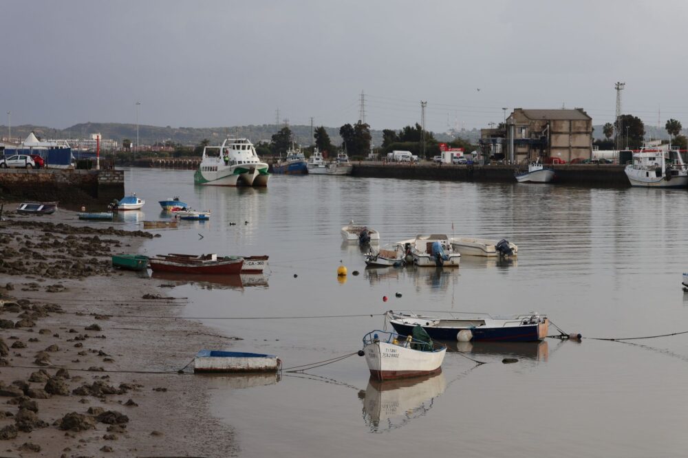 El latido meridional de la región de Setúbal: Puertos de estuario, transbordadores de marea y la conectividad anfibia del estuario del Sado