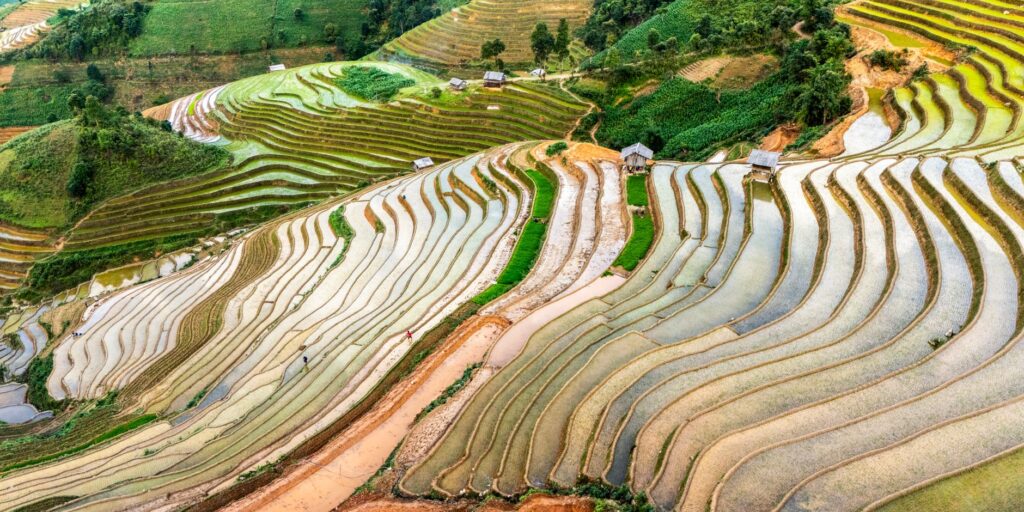 El nuevo pulso vietnamita: cómo la diversificación del ocio redefine el gasto y la identidad viajera