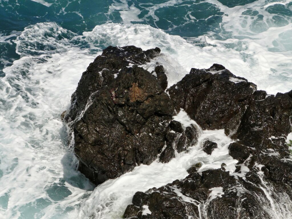 El refugio de la raya águila en las aguas de Fernando de Noronha: oceanografía, corrientes de afloramiento y conservación en el archipiélago brasileño