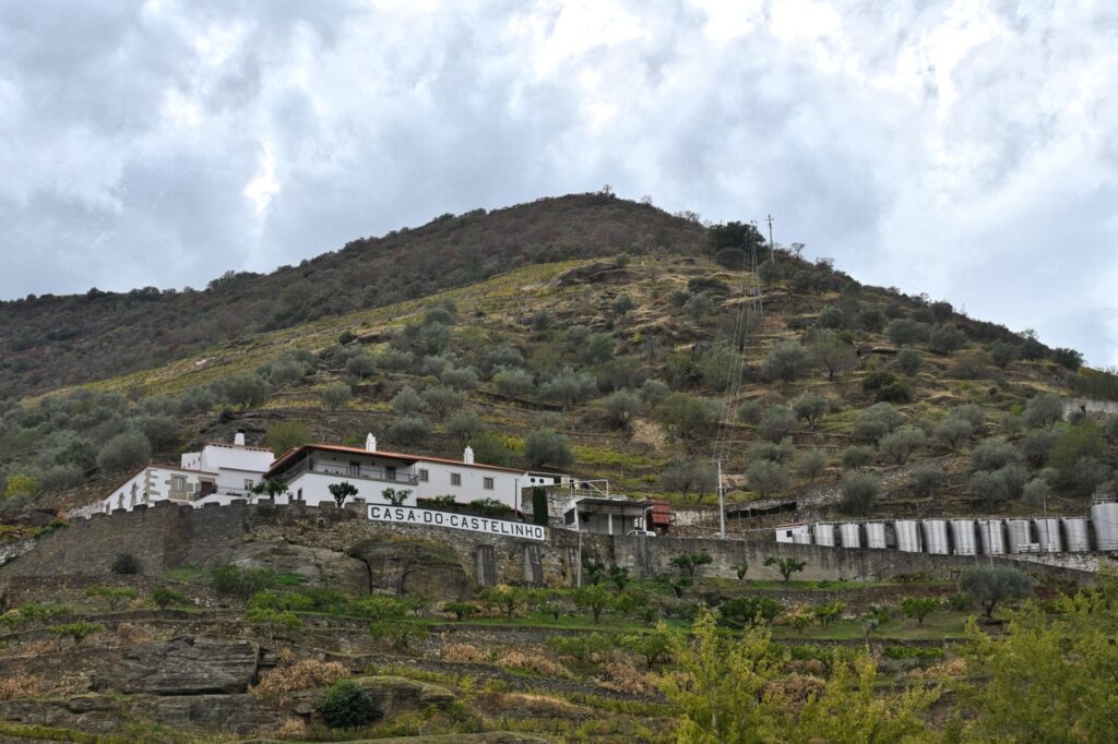 El latido de la piedra seca: laja, pendiente y memoria en los bancales de la Sierra de Tramuntana