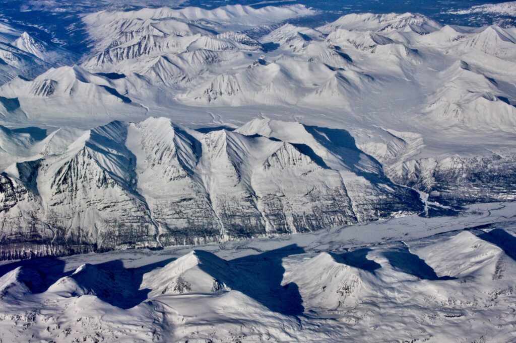 El refugio de la liebre ártica en la península de Seward: ecología nival y conservación en la tundra de Alaska