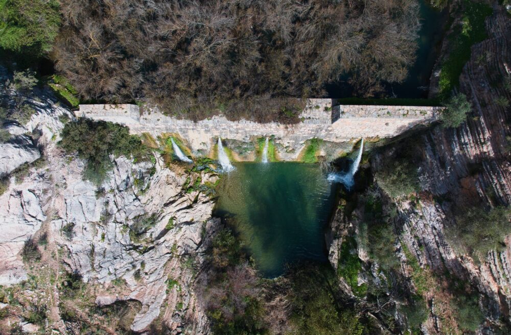 El latido de los bancales de olivar: cómo la agricultura regenerativa y los senderos de piedra seca transforman la conservación en la Sierra de Aracena