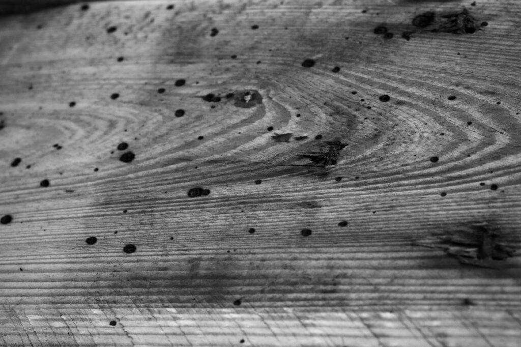 El laberinto del Níger central: piraguas de madera, barcazas de cabotaje y la frágil conectividad fluvial de un confín maliense