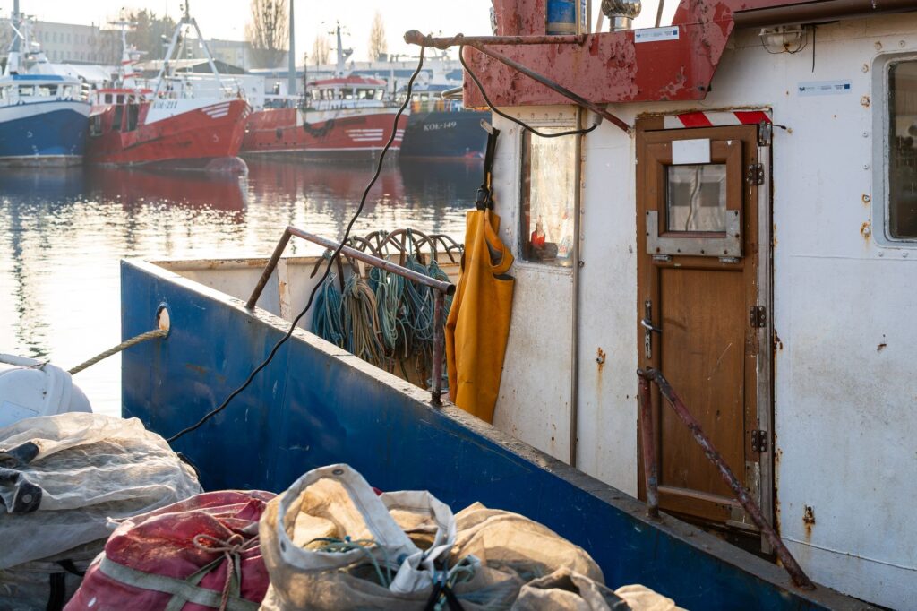 El laberinto de los fiordos árticos: cómo la navegación eléctrica y los caminos costeros transforman el transporte en las islas Lofoten
