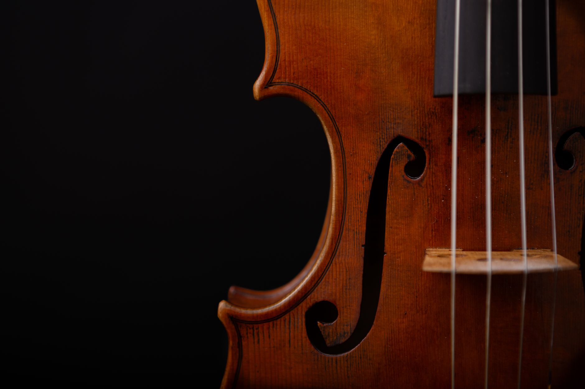 El Renacimiento de la Violería Histórica: Cuerda, Resina y Memoria en los Obradores de Cremona