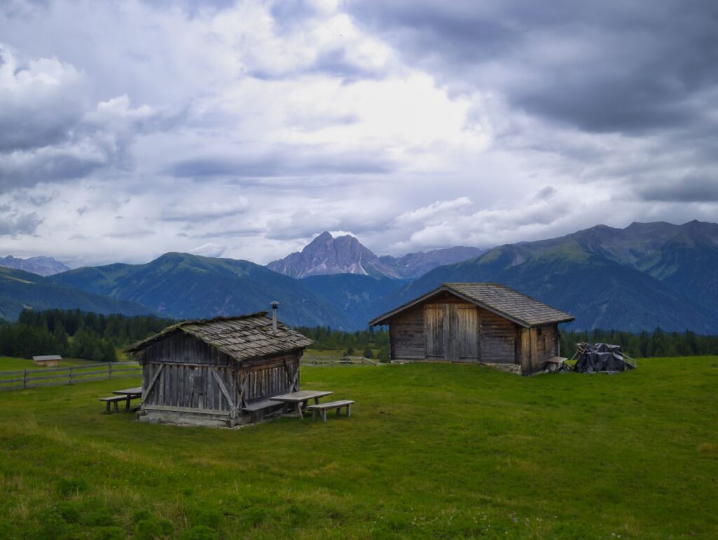 El Refugio de la Gamuza de los Alpes Dináricos: Biología, Corredores Kársticos y Conservación en el Parque Nacional de Durmitor