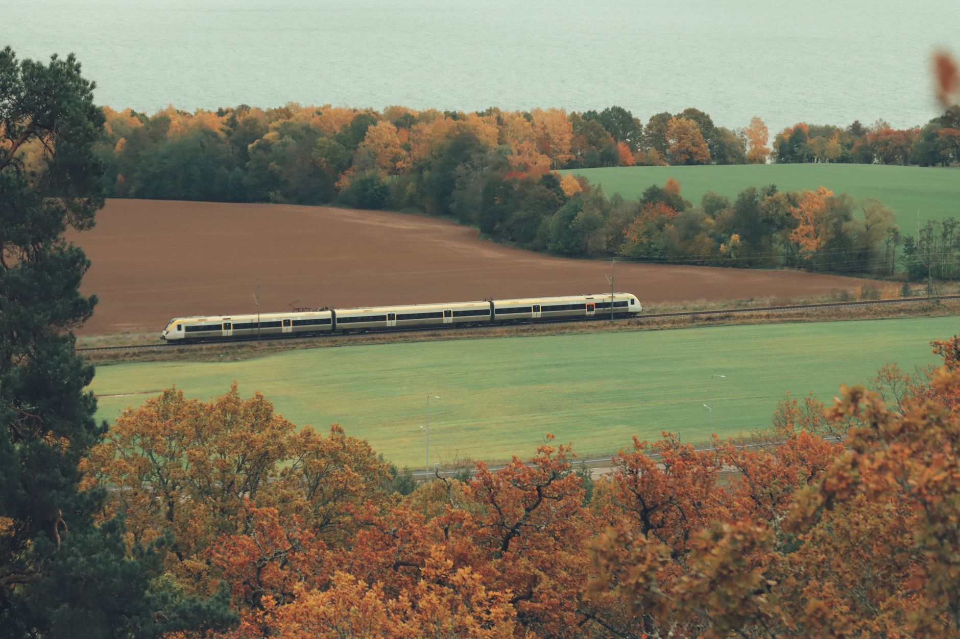 El Expreso del Ártico: Ingeniería de túneles, logística de fiordos y la conectividad ferroviaria hacia el norte de Suecia