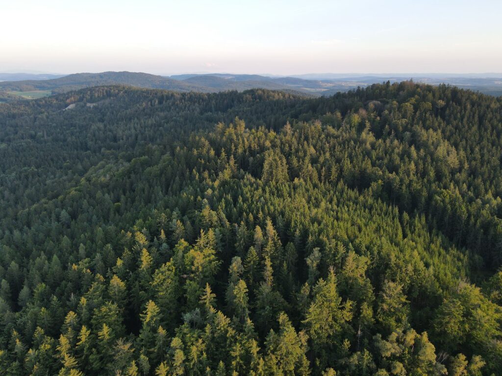 El Ferrocarril de la Selva Negra: Ingeniería de valles profundos, logística forestal y la conectividad ferroviaria histórica entre Offenburg y Constanza
