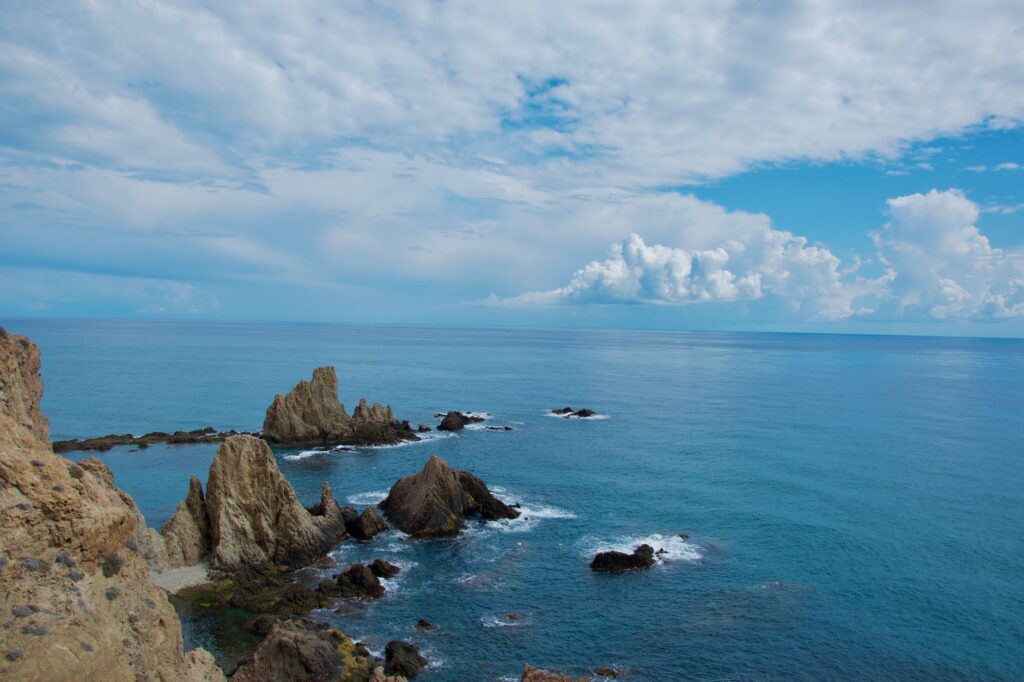 El latido de los bosques submarinos: cómo la restauración de praderas de posidonia y la pesca artesanal transforman la conservación en el Parque Natural del Cabo de Gata-Níjar