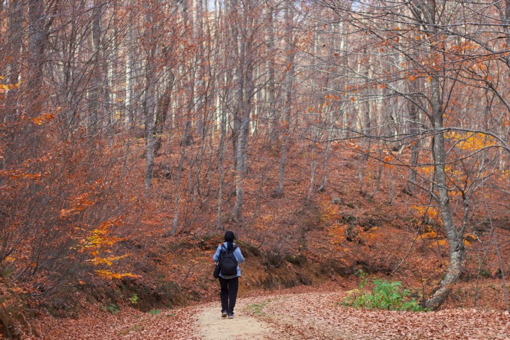 El latido volcánico de la Garrotxa: Ingeniería de caminos, flujos de lava y la conectividad rural de la zona volcánica