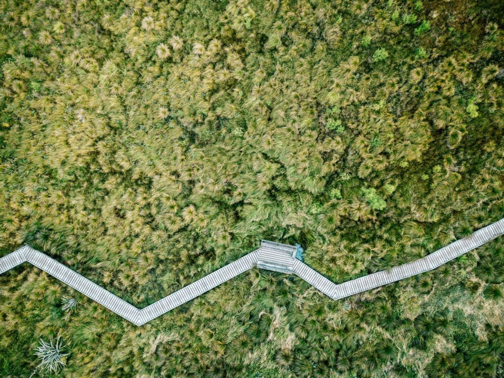 El aula viva del río Niágara: la transformación ecológica de Eco Island en Grand Island