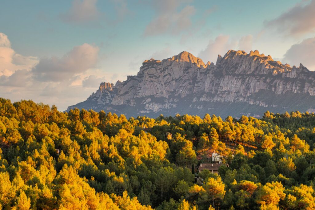 El latido del tren cremallera de Montserrat: ingeniería de montaña y peregrinaje vertical en Cataluña