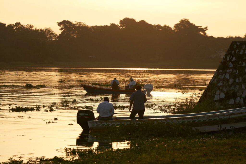 El latido de las sabanas inundables: cómo la restauración del agua y la custodia ganadera transforman la conservación en el Pantanal