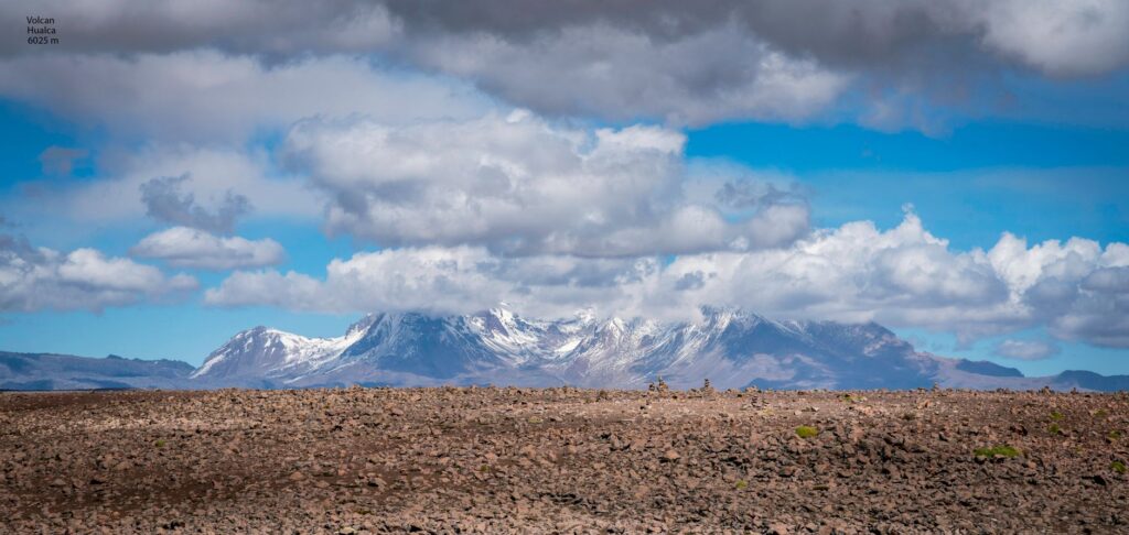 El latido de las estepas altoandinas: cómo la restauración de bofedales y el pastoreo rotativo transforman la conservación en la Reserva Nacional Salinas y Aguada Blanca