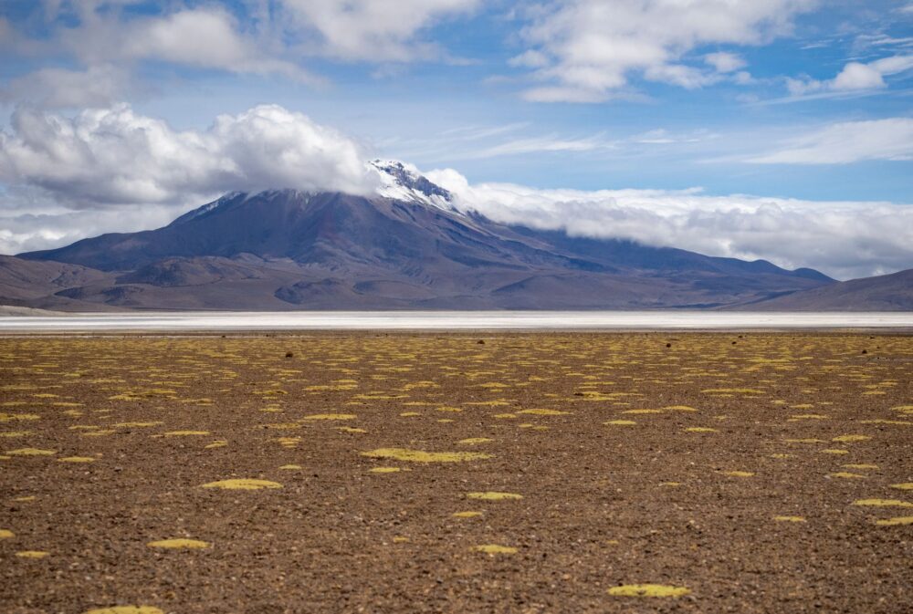 El Ferrocarril del Altiplano Boliviano: Ingeniería de mesetas, logística mineral y conectividad ferroviaria hacia Oruro