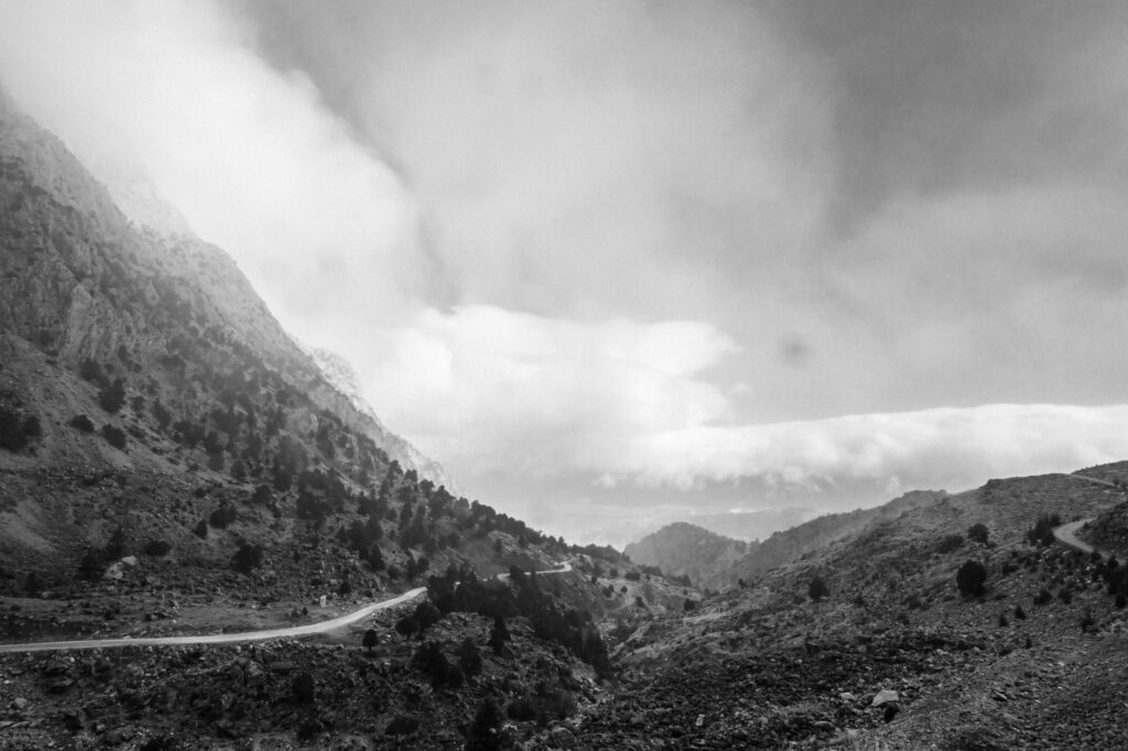 El Santuario del Cóndor Andino: Biología, Corredores Térmicos y Conservación en la Cordillera Blanca