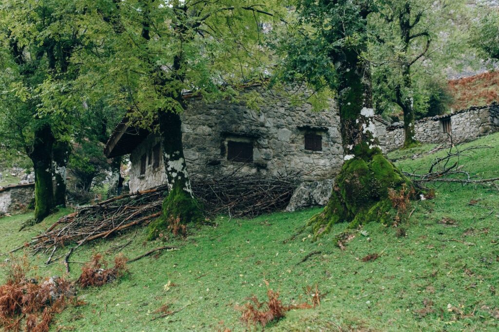 El refugio de la liebre de matorral en los páramos de Gredos: ecología rupícola y conservación en el macizo abulense