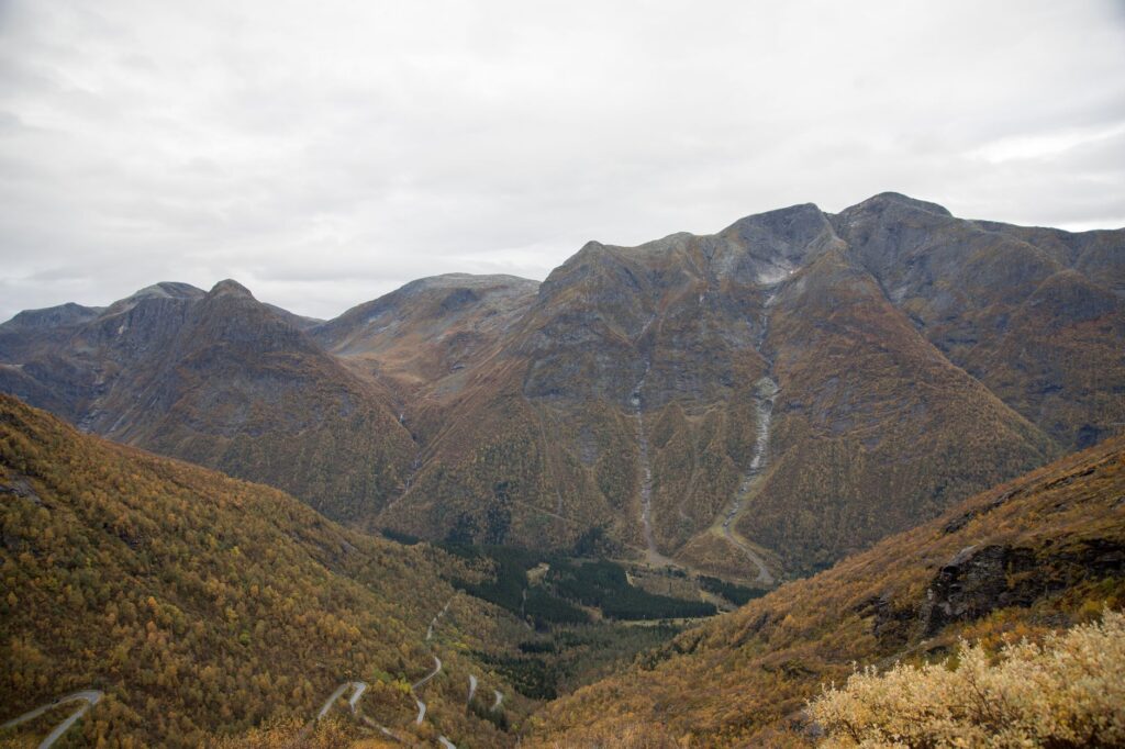 El Ferrocarril de los Fiordos Noruegos: Ingeniería de Alta Montaña, Túneles Espirales y Conectividad en el Oeste de Noruega