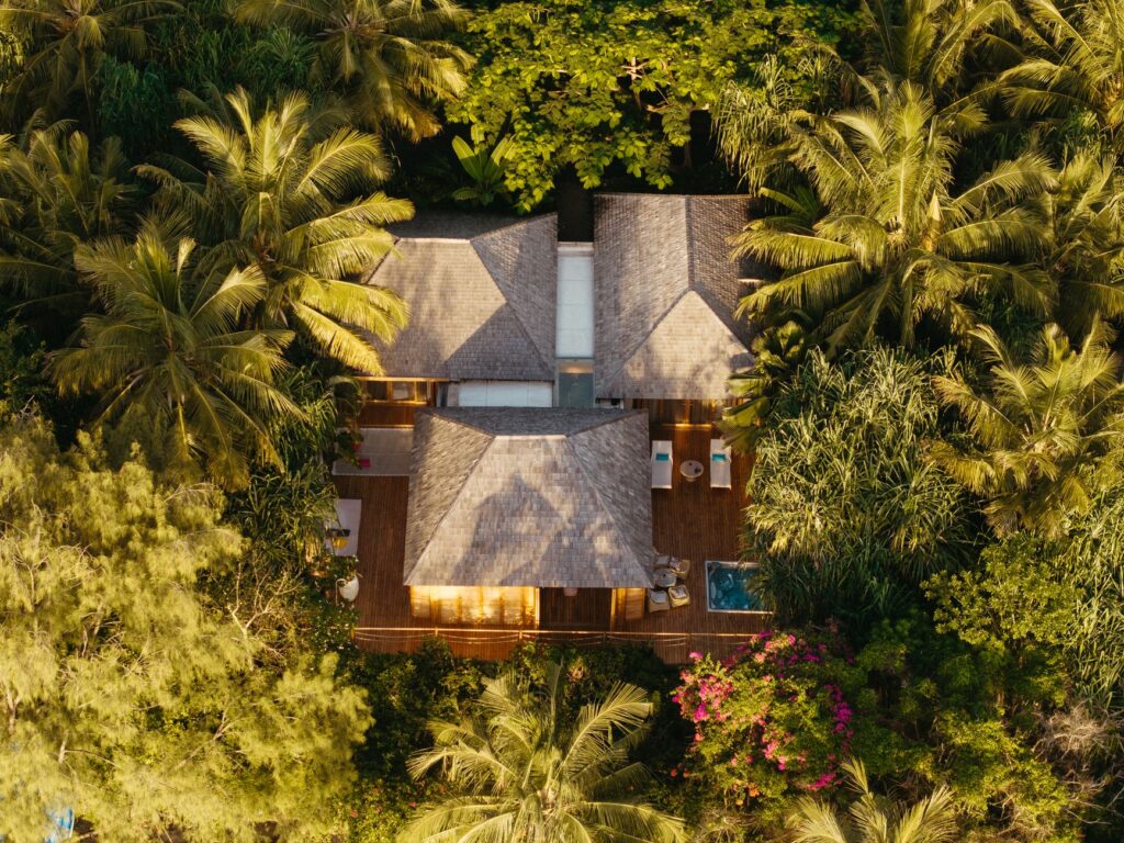 Santuario en la espesura: el nuevo despertar de las selvas y montañas de Belice