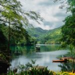 El Refugio del Tarsio en las Selvas de Bohol: Biología, Primatología y Conservación en el Corazón de Bisayas