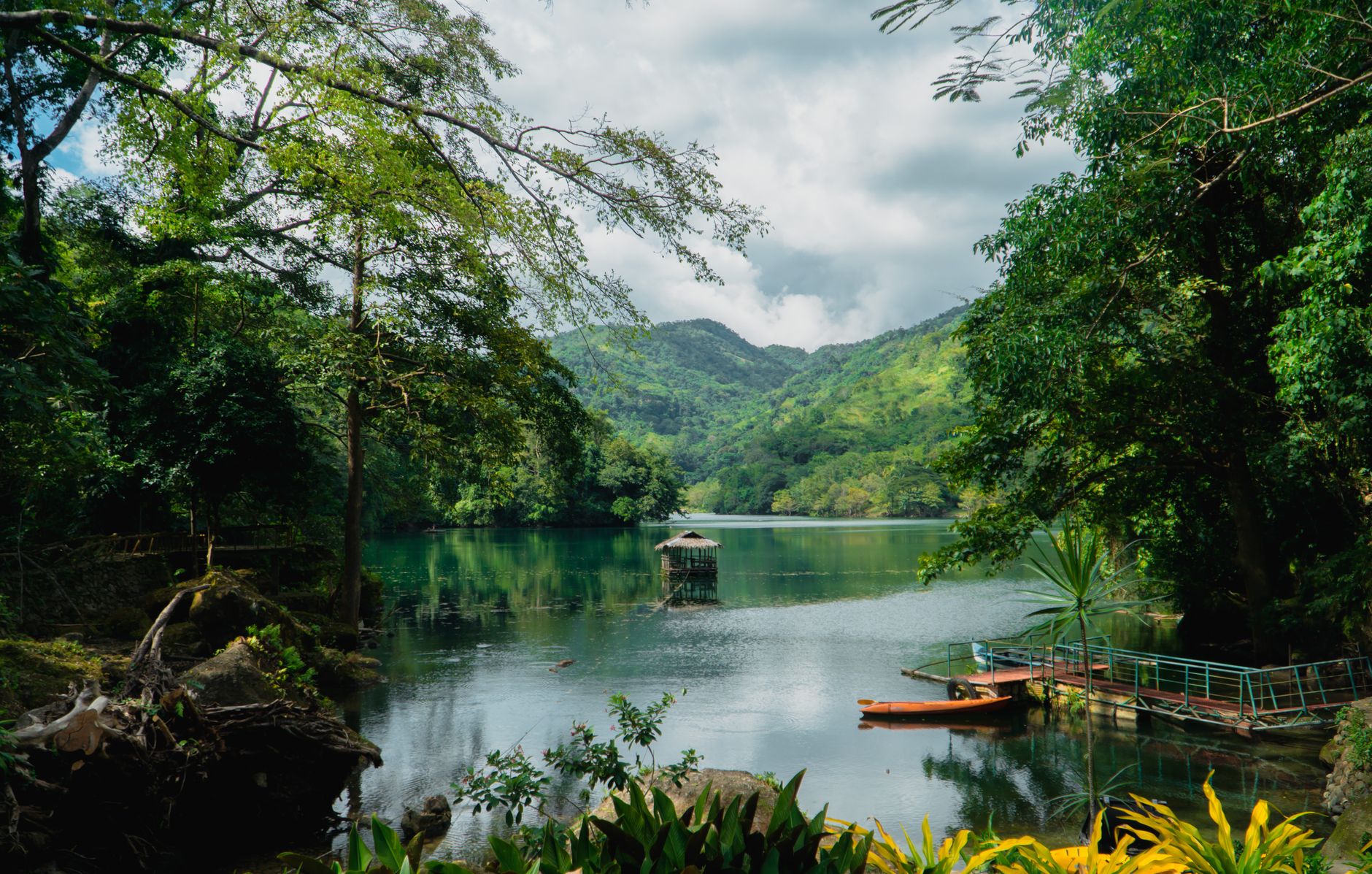 El Refugio del Tarsio en las Selvas de Bohol: Biología, Primatología y Conservación en el Corazón de Bisayas